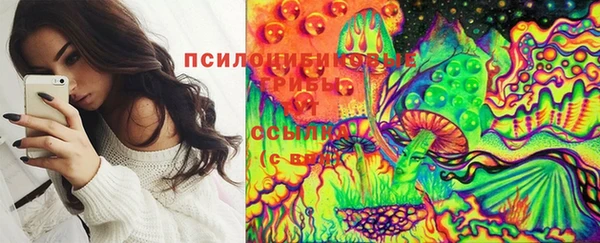 экстази Алексин
