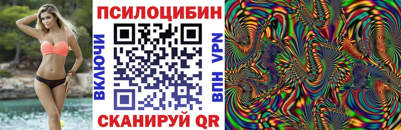 блэк спрут ССЫЛКА  Безенчук  Галлюциногенные грибы Psilocybe  что такое наркотик 